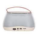 Zestaw do karaoke głośnik Bluetooth LED RGB 2 mikrofony USB