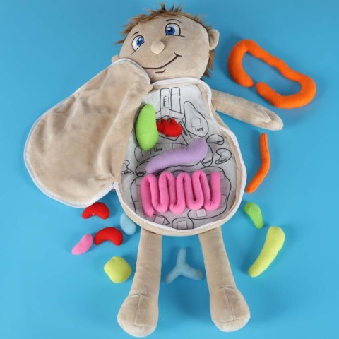 Lalka maskotka nauka anatomii chłopiec