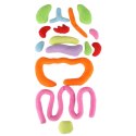 Lalka maskotka nauka anatomii chłopiec