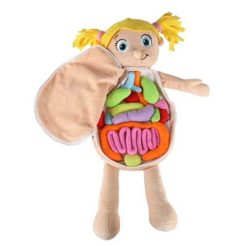 Lalka maskotka nauka anatomii dziewczynka