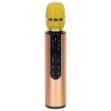 Mikrofon bezprzewodowy karaoke dla dzieci głośnik Bluetooth 2000mAh karta SD USB wysoka jakość złoty