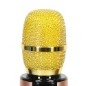 Mikrofon bezprzewodowy karaoke dla dzieci głośnik Bluetooth 2000mAh karta SD USB wysoka jakość złoty