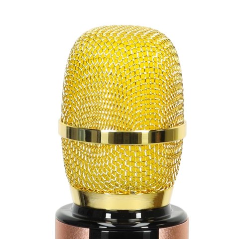 Mikrofon bezprzewodowy karaoke dla dzieci głośnik Bluetooth 2000mAh karta SD USB wysoka jakość złoty