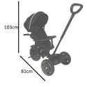 Rowerek trójkołowy TRIKE FIX Elite 2w1 rower spacerówka 6w1 czarny