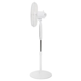 Wentylator podłogowy wiatrak stojący 5 łopatek mocny cichy timer pilot 3 tryby regulacja 45W biały Bauerkraft