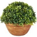 Sztuczny Bukszpan w Ceramicznej Doniczce 20cm - Zielony